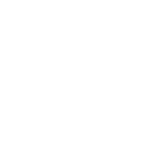 Delis_Logo